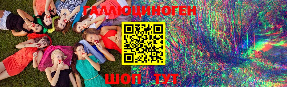 Галлюциногенные грибы Psilocybe Великий Новгород