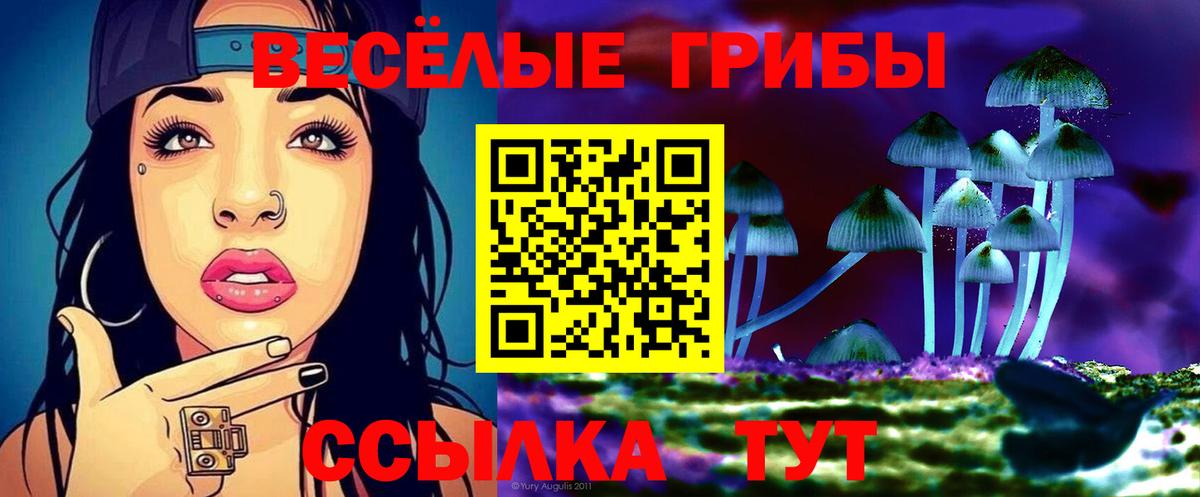 Галлюциногенные грибы MAGIC MUSHROOMS  Вход с VPN  Великий Новгород  Галлюциногенные грибы ЛСД 