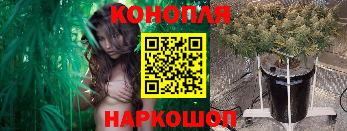Конопля VHQ  Вход с VPN  Великий Новгород  Бошки марихуана AK-47 